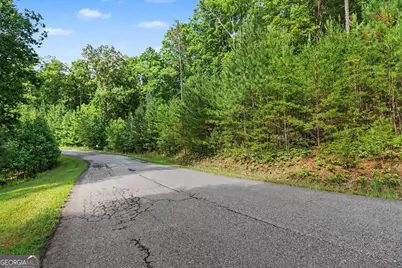 230 Rushing Water Drive, Blairsville, GA 30512 - Photo 20