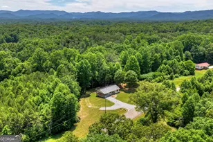569 Number 20 Mine Rd, McCaysville, GA 30555 - Photo 46