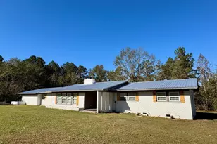 405 N Broughton St, Ailey, GA 30410 - Photo 42