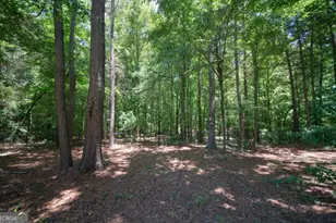 217 Hidden Spring Way, Athens, GA 30605 - Photo 46