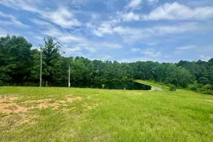 1207 Musella Rd, Musella, GA 31066 - Photo 1