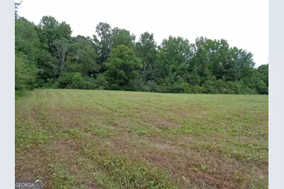 2411 Kesler Road, Carnesville, GA 30521 - Photo 60