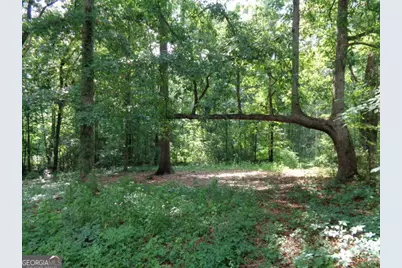2411 Kesler Road, Carnesville, GA 30521 - Photo 4