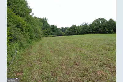 2411 Kesler Road, Carnesville, GA 30521 - Photo 16