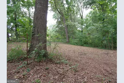 2411 Kesler Road, Carnesville, GA 30521 - Photo 26