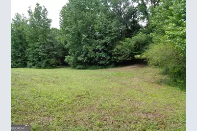 2411 Kesler Road, Carnesville, GA 30521 - Photo 46