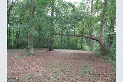 2411 Kesler Road, Carnesville, GA 30521 - Photo 24
