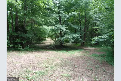 2411 Kesler Road, Carnesville, GA 30521 - Photo 20