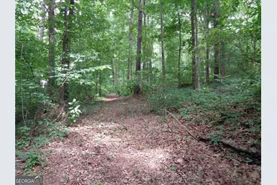 2411 Kesler Road, Carnesville, GA 30521 - Photo 36