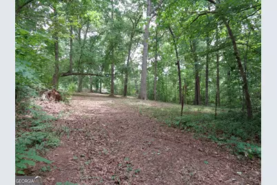 2411 Kesler Road, Carnesville, GA 30521 - Photo 42