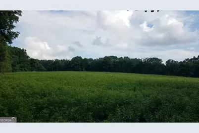 2411 Kesler Road, Carnesville, GA 30521 - Photo 1