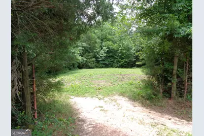 2411 Kesler Road, Carnesville, GA 30521 - Photo 44