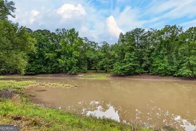 215 Boone Road, Newnan, GA 30263 - Photo 38
