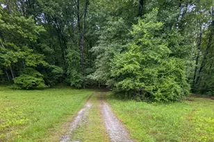 215 Boone Rd, Newnan, GA 30263 - Photo 40