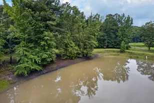 215 Boone Rd, Newnan, GA 30263 - Photo 44