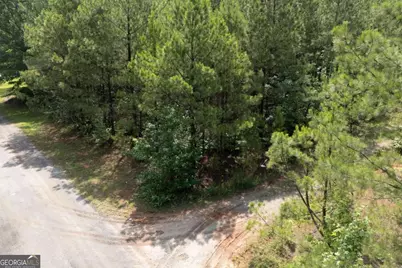 0 Ono Road, Palmetto, GA 30268 - Photo 6