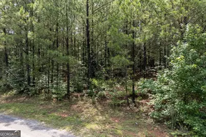 0 Ono Road, Palmetto, GA 30268 - Photo 4