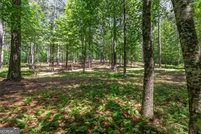 Lot 48 Thirteen Hundred, Blairsville, GA 30512 - Photo 8