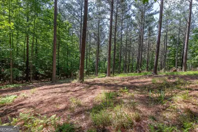 Lot 48 Thirteen Hundred, Blairsville, GA 30512 - Photo 14