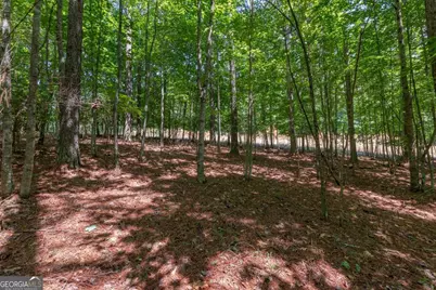 Lot 48 Thirteen Hundred, Blairsville, GA 30512 - Photo 10
