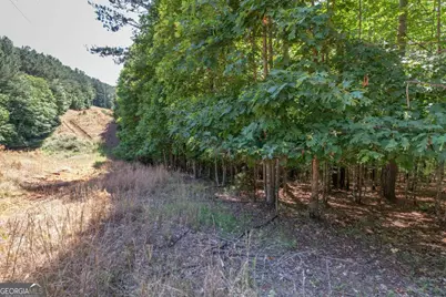 Lot 48 Thirteen Hundred, Blairsville, GA 30512 - Photo 12