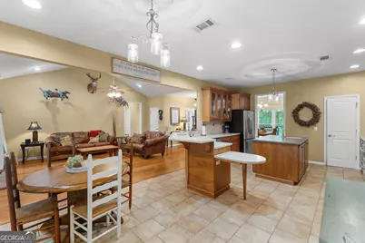 480 Best Bridge Road, Sylvania, GA 30467 - Photo 16