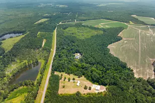 480 Best Bridge Rd, Sylvania, GA 30467 - Photo 48