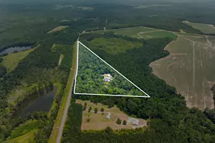 480 Best Bridge Rd, Sylvania, GA 30467 - Photo 6