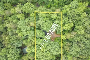 1130 Alpine Dr, Sautee Nacoochee, GA 30571 - Photo 42
