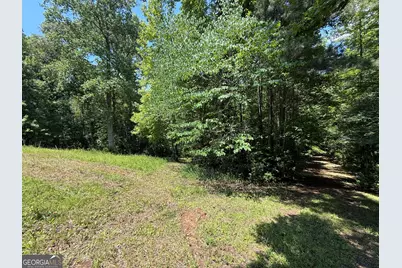 0 River Run Drive, Hogansville, GA 30230 - Photo 10