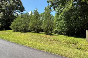 0 River Run Dr, Hogansville, GA 30230 - Photo 1