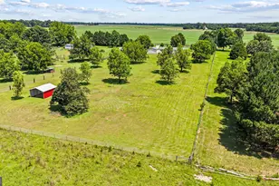 792 Ellis Rd, Elko, GA 31025 - Photo 62