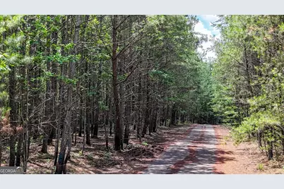47 Lot #LOT 47, Rockmart, GA 30153 - Photo 2