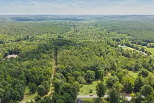 300 Brook Rd, Barnesville, GA 30204 - Photo 44