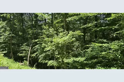 Lot 780 Omen Circle, Ellijay, GA 30540 - Photo 4