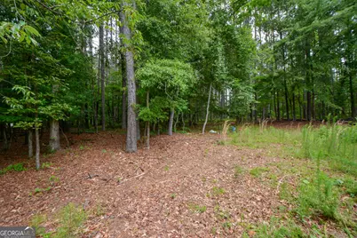 819 N Bethany Road, McDonough, GA 30252 - Photo 30