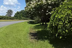 2169 Silver Hill Rd, Summerville, GA 30747 - Photo 8