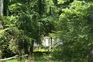 2169 Silver Hill Rd, Summerville, GA 30747 - Photo 4
