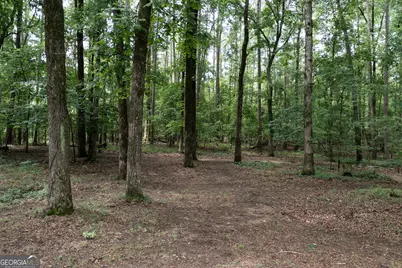 140 Scott Boulevard, Tyrone, GA 30290 - Photo 82