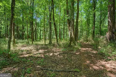 1381 Star Point Road, Carrollton, GA 30116 - Photo 48