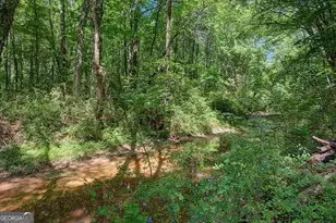1381 Star Point Rd, Carrollton, GA 30116 - Photo 50