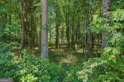 1381 Star Point Road, Carrollton, GA 30116 - Photo 46