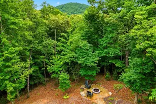 152 Oceola Dr, Ellijay, GA 30540 - Photo 50