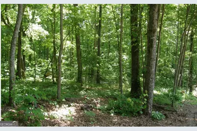 14 B Breezewood Village, Young Harris, GA 30582 - Photo 4