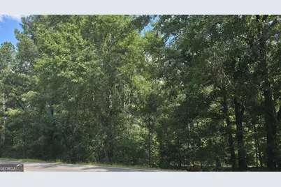 0 Bowen Hill Road, Haddock, GA 31033 - Photo 2