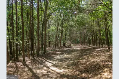 0 Mount Pleasant Road NE, Fairmount, GA 30139 - Photo 8