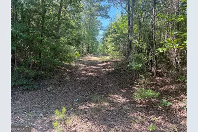 L1 Prosser Road, Sandersville, GA 31082 - Photo 6