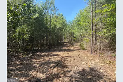 L1 Prosser Road, Sandersville, GA 31082 - Photo 8