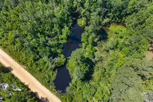 101 Doe Dr, Brooklet, GA 30415 - Photo 32