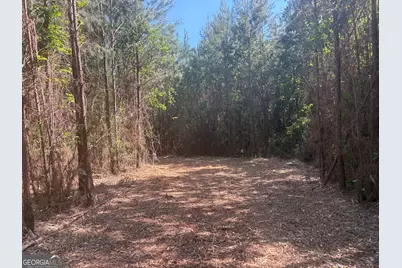 L6 N Indian Trail Road, Sandersville, GA 31082 - Photo 2